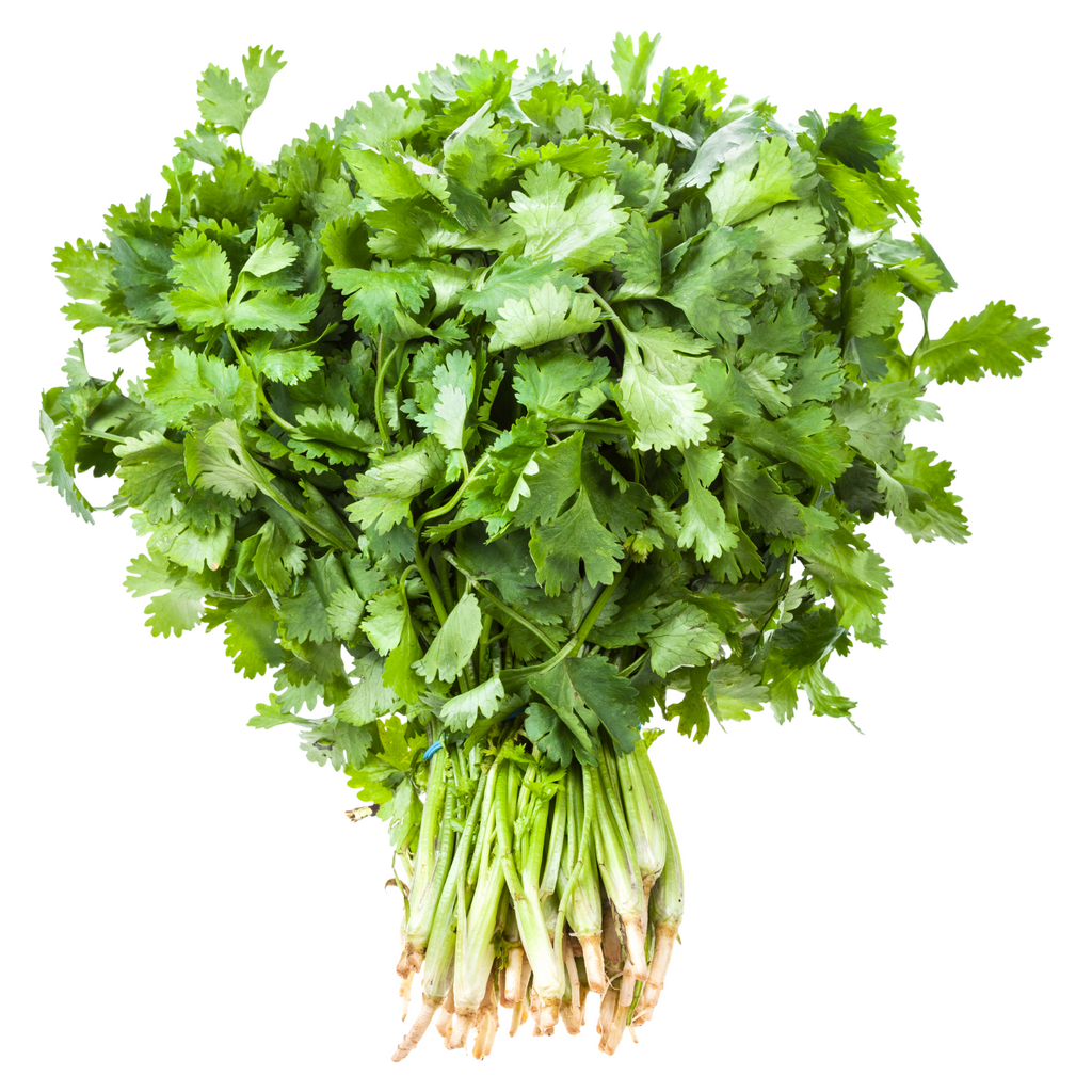 Cilantro - Paquete 120 grs - La Veguita Móvil