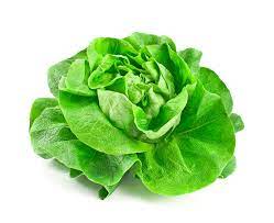 Lechuga Española - Unidad - La Veguita Móvil
