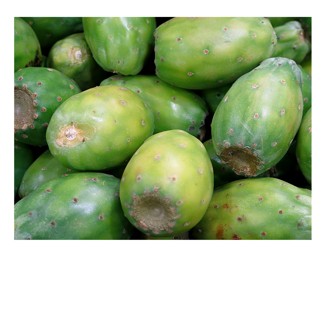 Tuna - Kilo - La Veguita Móvil